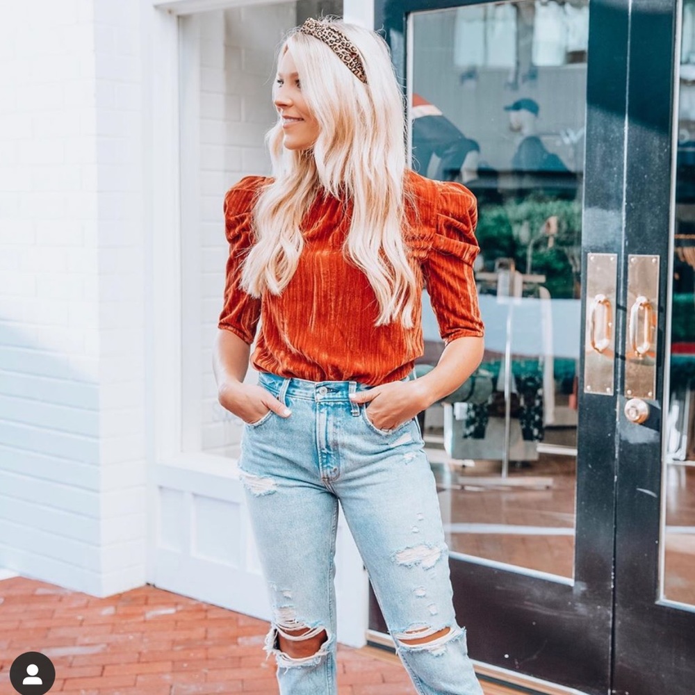 Velvet puff sleeve top